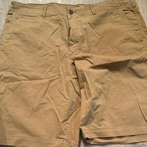 American Eagle Outfitters Khaki Flat Front Shorts